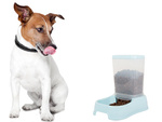 Dog food dispenser cat food bowl automatic