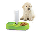 Double water bowl with dispenser for dog cat