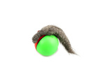 Ferret running ball runaway cat toy