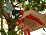 Garden hand pruner shrub pruning shears forged steel