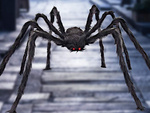 Halloween spider giant tarantula decoration