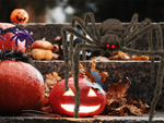 Halloween spider giant tarantula decoration