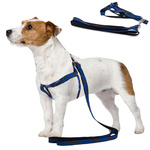Harness for a cat dog + 1.5 cm reflective leash