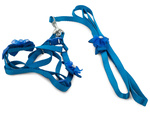 Harness leash for dog cat rabbit p1