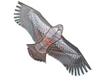 Kite bird eagle 2m bird deterrent with line