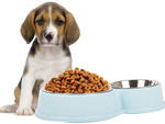 Metal double bowl for dog cat food water