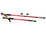 Nordic walking cork walking stick