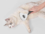 Self-cleaning hair brush for dogs cats