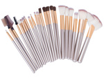 Set of 24 professional make-up brushes case