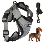 Suspender without pressure walking harness for small dog handle light soft strong m