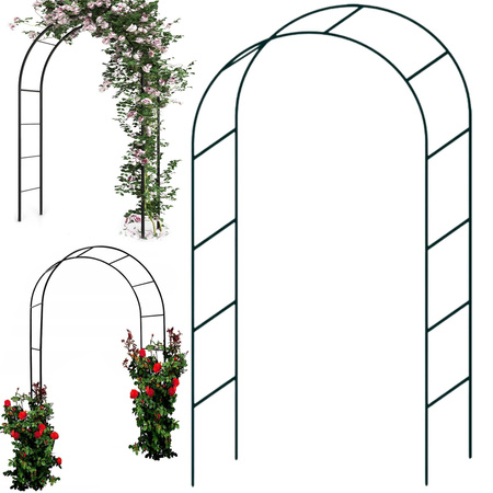 Pergola de jardin support de fleurs pour plantes grimpantes arche pour rosiers lierre métal