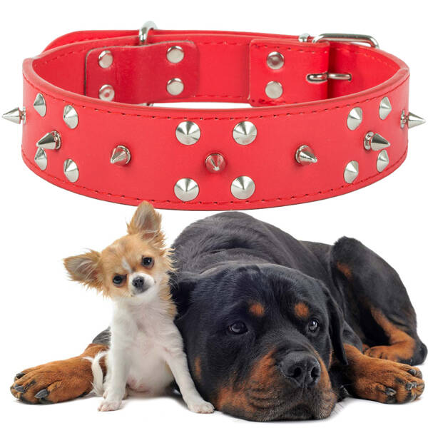 Collier chien clouté cuir eco réglable xl