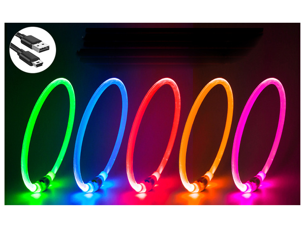 Collier d'éclairage led pour chiens et cats imperméable réglable 47cm usb