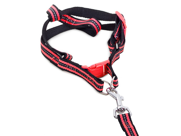 Dog fit + laisse réfléchissante 2.5cm