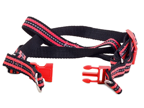 Dog fit + laisse réfléchissante 2.5cm