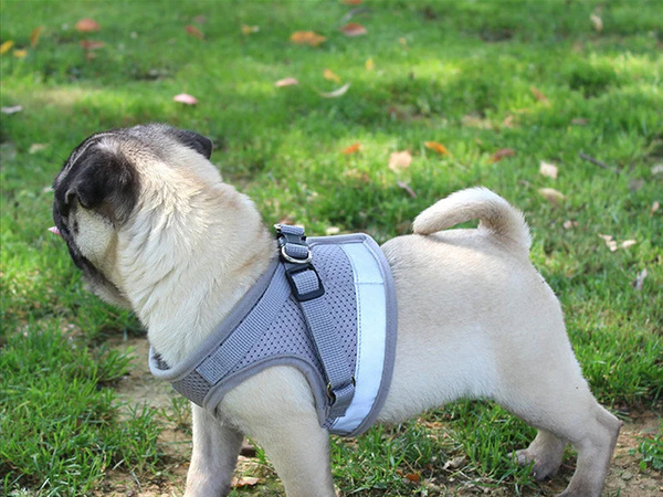 Harnais de marche sans pression pour chien, chat, lapin, réflecteur doux et fort s