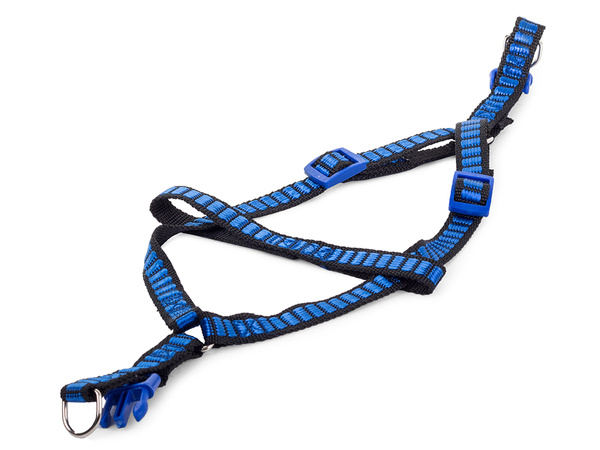 Lanyard avec harmesses bande chien-chat strong 1.5cm