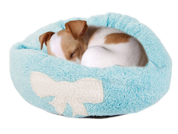 Lit de chien pelucheux lit de chat coussin doux lit de canapé 35cm