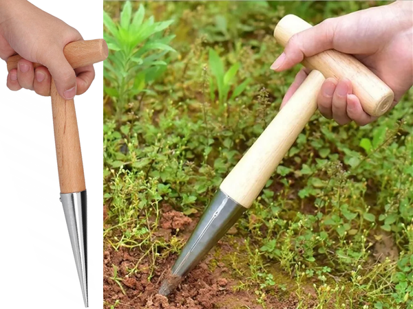 Piquet de plantation pour planter des bulbes brochette de jardin mesure en bois