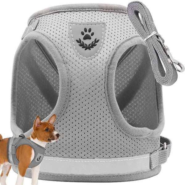 Porte-manteau sans pression pour chien chat lapin doux fort réflecteur m