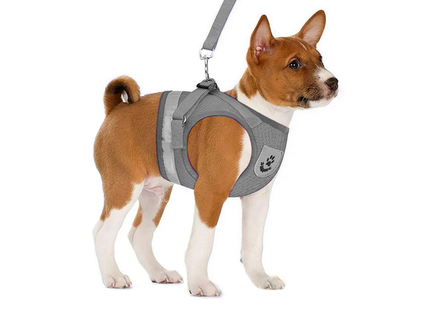 Porte-manteau sans pression pour chien chat lapin doux fort réflecteur m