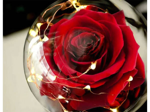 Rose éternelle en verre rouge cadeau lumineux pour une occasion pour femmes