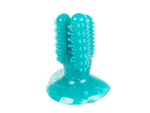 Brosse à dents pour chien cactus à mâcher pour chien