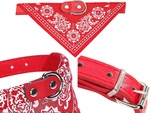 Collier pour chien avec bandana pour chien chat m