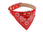 Collier pour chien avec bandana pour chien chat m