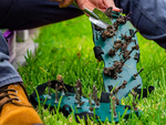 Couvre-chaussures aérateurs de jardin grandes pointes pour l'aération de la pelouse