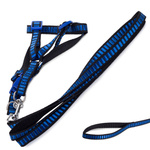 Lanyard avec harmesses bande chien-chat strong 1.5cm