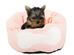 Lit doux pour chien coussin de parc pour chat