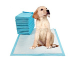 Mats pour chiens enseignement pour enseigner peek 60x90 20 feuilles