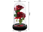 Rose éternelle en verre lumineuse led rgb cadeau d'occasion pour femme rouge