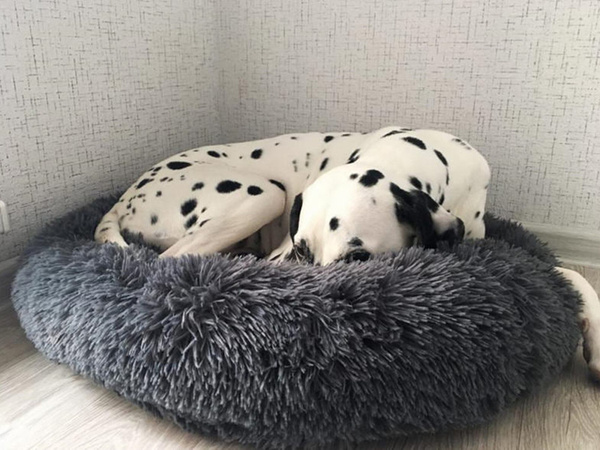 Flauschiges hundebett katzenbettwäsche weiches kissen couch bettwäsche 50cm