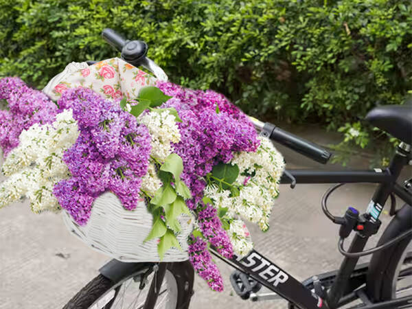 Grosser fahrradkorb aus weide klick-lenkerkorb mit einsatz