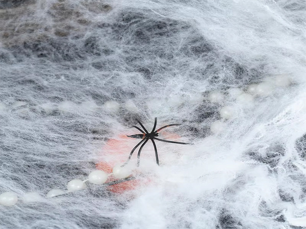 Künstliches weisses spinnennetz mit spinnen halloween dekoration dehnbar