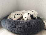 Flauschiges hundebett katzenbettwäsche weiches kissen couch bettwäsche 50cm