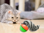 Frettchen laufender ball entlaufenes katzenspielzeug