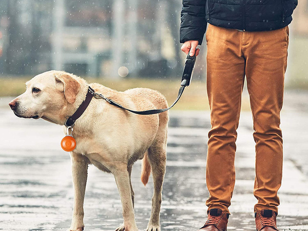 LUZ LED PARA COLLAR NARANJA (600) GAB_A