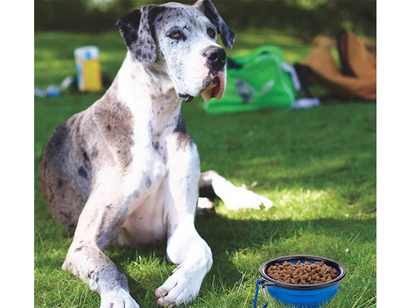 Миска силиконовая для собак складная туристическая карабинер 400 мл