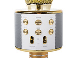 Kabelloses mikrofon bluetooth karaoke lautsprecher rund mit etui verschiedene modi