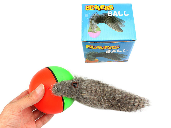 Furet balle de course jouet chat fugueur