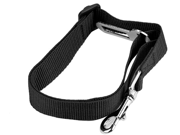 Ceinture de sécurité pour chien laisse de sécurité