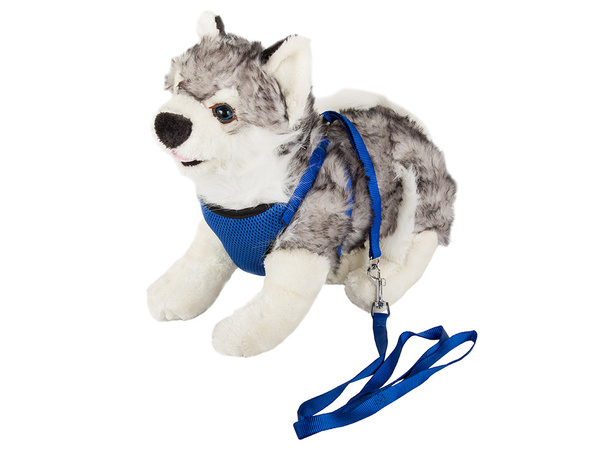 Póráz merevítőkkel hám könnyű kutya macska erős