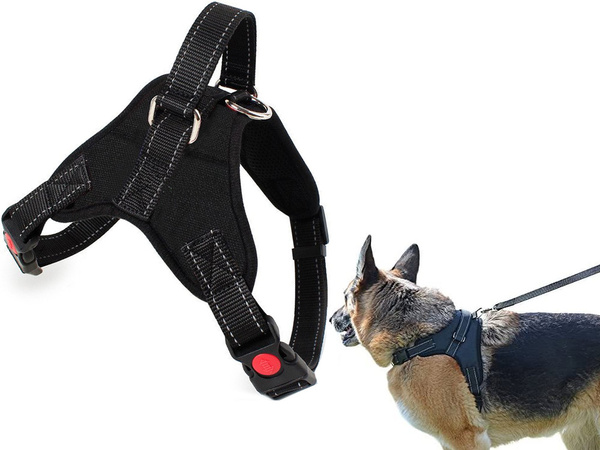 Robustný, beztlakový postroj pre psov zvládne ľahkú l
