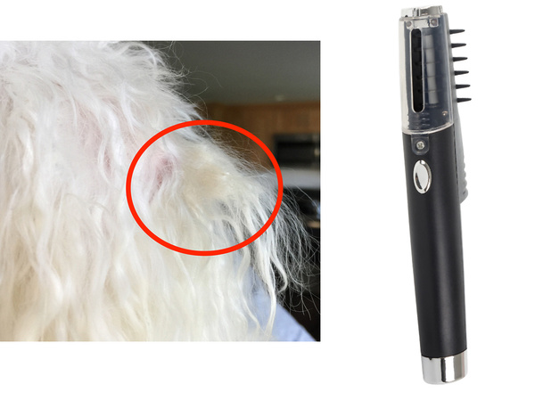 Elektriskā matu ķemme suņu ķemme suņu kaķu matiem