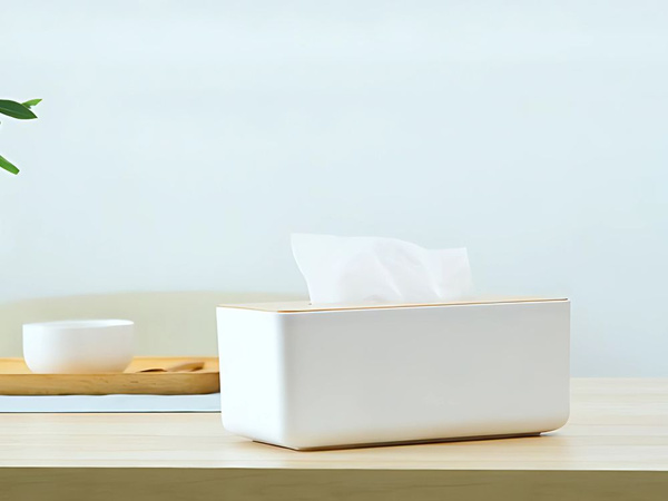 Boîte à mouchoirs, récipient organiseur, mouchoir en bambou