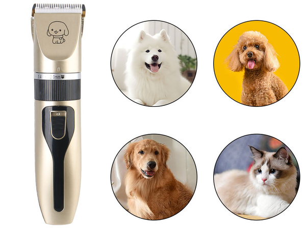 Set profesional de cortapelos sin cable para perros y mascotas