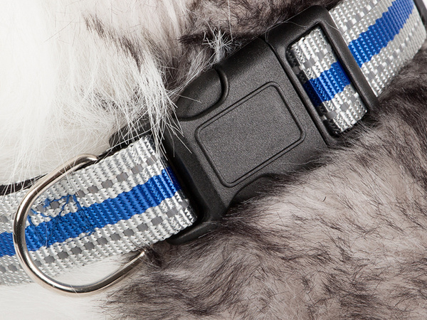 Obroża odblaskowa dla psa kota mocna regulowana s